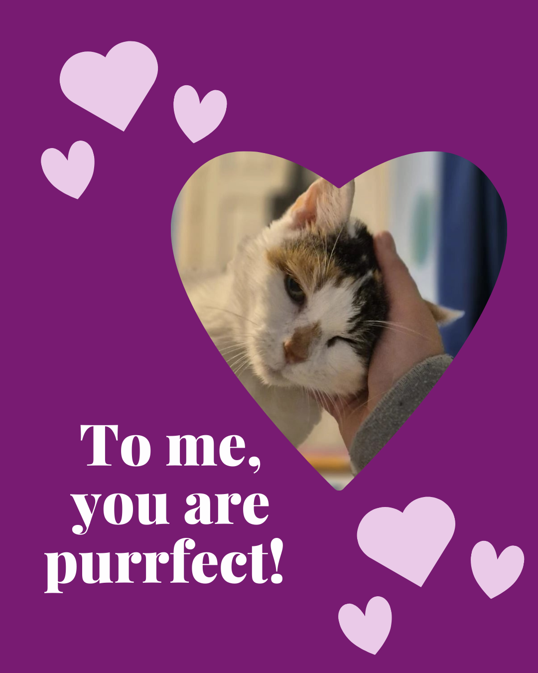 Valentine's Day 2026 - image 2